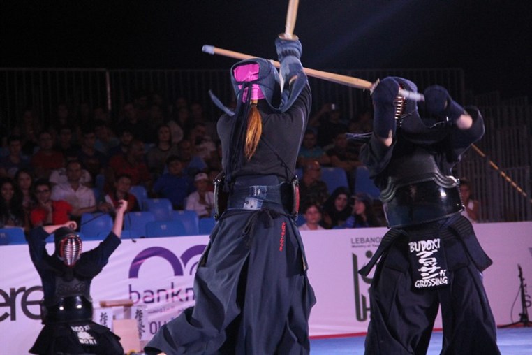 Martial Arts Festival